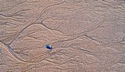 Mike Moore - Blue stone on the beach